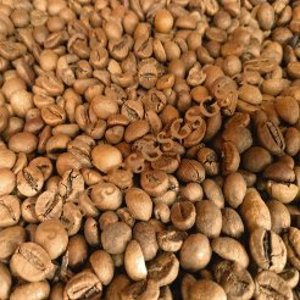Coffee Beans | Horeca Dubai