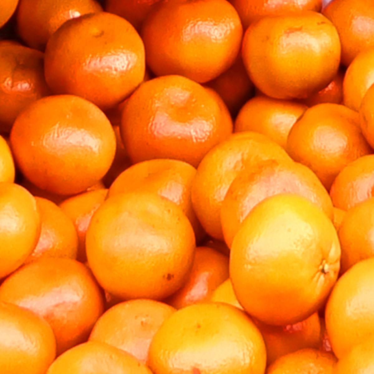 Fresh Fruit - Oranges