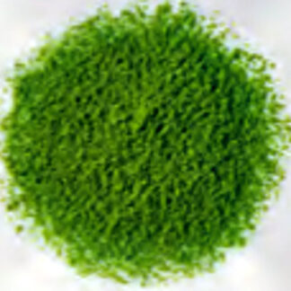 Matcha Powder | Horeca Dubai