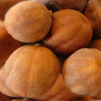 Dried Lime