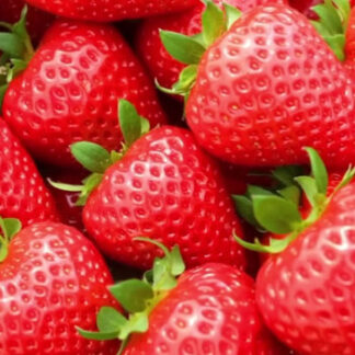 Fresh Strawberry